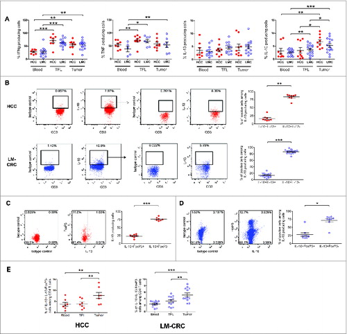 Figure 1. Accumulation of IL-10-producing CD4+FoxP3− T cells in liver tumors. PBMCs or MNCs isolated from tissues of HCC (n = 8–9) and LM-CRC (n = 5–14) patients were stimulated in vitro for 5 h with PMA/Ionomycin in the presence of protein transport inhibitors. IFNγ, TNFα, IL-13 and IL-10 were measured by intracellular staining by flow cytometry. (A) The percentages of cytokine-producing cells among total CD3+CD4+ T cells in blood, TFL and tumor. (B) IL-13 expression in viable tumor-derived CD3+CD4+IL-10+ T cells of HCC and LM-CRC patients stimulated with PMA/Ionomycin. FoxP3 and IL-10 expression in CD3+CD4+ T cells isolated from HCC (C) or LM-CRC tumors (D). (E) Frequencies of CD4+CD3+IL-13−FoxP3−IL-10+ T cells among CD4+ T cells. Red dots correspond to HCC and blue open dots are for LM-CRC (displayed as LMC in graphs). Values are means ± SEM, *p < 0.05, **p < 0.01, ***p< 0.001.