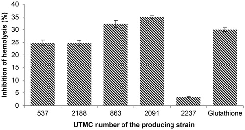 Figure 7. Inhibition of hemolysis (%) induced by 2.5 mM ferrous sulfate with extracts and glutathione as a positive control at the concentration of 100 μg/mL. Data are mean ± SD of three experiments.