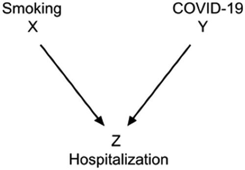 Fig. 4 Causal diagram (a collider) for the relationships among smoking status, COVID-19 status, and hospitalization.