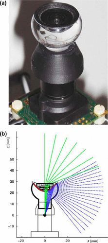 Figure 23. (a) Catadioptric imaging system. (b) Rays shown in dashed lines are reflected at the convex mirror and the central rays shown in solid lines are refracted by the lens system and enter through a circular area not covered by the convex mirror. The black dot behind the acrylic glass indicates the nodal point of the camera lens. Source: Sturzl et al. 2010, reproduced with permission from Bioinspiration & Biomimetics.