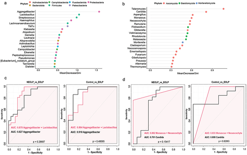 Figure 5. Random Forest and ROC curve analysis. (a, b) Top 20 genera ranked by MeanDecreaseGini based on the Random Forest model, with color mapping to phyla in the legend, a for bacteria, B for fungi. (c, d) ROC curves for bacteria and fungi, where the red curve represents a combination of two genera, and the black curve represents a single genus.