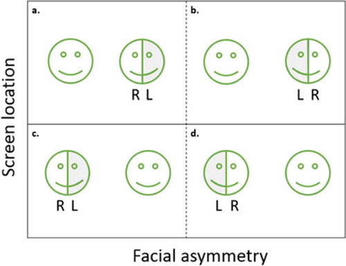 Figure 5. Experimental conditions. The four layout possibilities of an emotion combining the location of the symmetric facial expression either on the left or the right side of the screen (screen location), and the two possible designs of the asymmetric expression (facial asymmetry).