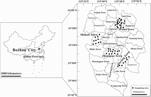 Figure 1. Sample sites in Bozhou, Anhui Province, China.