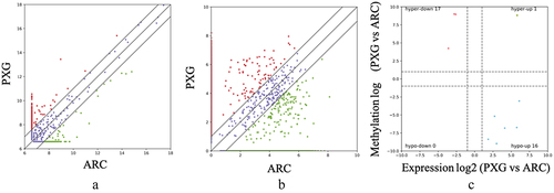 Figure 4. Conjoint analysis of lncRNA m6A modification and lncRNA expression in PXG (|FC|≥2 and p < 0.05). (a) Scatter plots showing the differentially expressed lncRNA between PXG and ARC. (b) Scatter plots showing the differentially m6A-methylated lncRNA between PXG and ARC. (c) Four-quadrant graph exhibiting the relationship of the m6A and expression level of lncRnas between the two groups. Abbreviations: PXG, pseudoexfoliation glaucoma; ARC, age-related cataract.