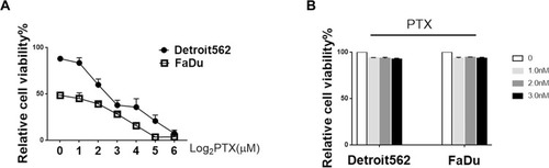 Figure 1 Effect of PTX on mtp53 HPSCC cell viability. (A) Relative cell viability of Detroit562 and FaDu cells after 24 hrs of PTX treatment in indicated concentration. The relative cell viability was measured using the CCK8 assay. IC50 value for PTX was calculated. (B) Relative cell viability of Detroit562 and FaDu cells after 24 hrs of PTX at a low concentration (0, 1, 2, 3 nM). Data represent the means±SD, n=3 independent experiments.