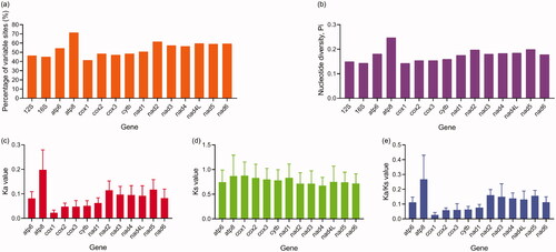 Figure 3. Statistics of variation sites (a), nucleotide diversity (b), Ka (c), Ks (d), and Ka/Ks (e) of 29 Strigiformes mitogenomes.