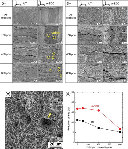 Figure 10. Fracture morphologies at (a) low magnification and (b) high magnification. (c) The magnified view of voids in 100 ppm sample after A-EDC tests. (d) The reduction of area percentage of as-received and hydrided Zircaloy-4 after UT and A-EDC tests.