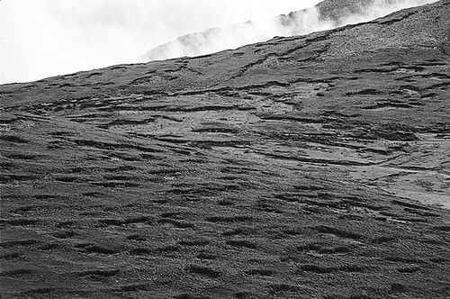 FIGURE 9. Degradation of the grass páramo in the surroundings of the Arenal Grande (ca. 4200 m).