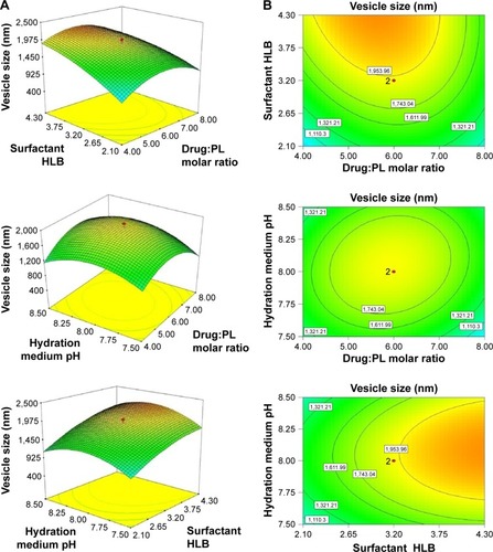 Figure 2 Three-dimensional surface plots (A) and corresponding contour plots (B) showing the effects of the independent variables on the vesicle size (Y) response.