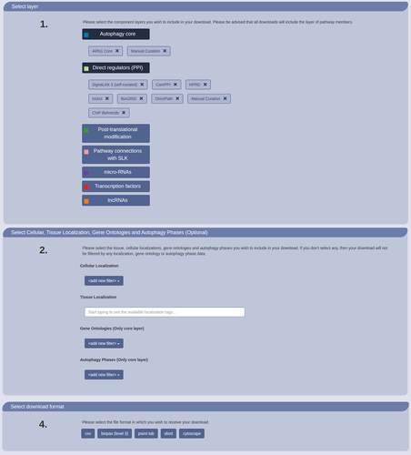 Figure 4. Customizable download options of AutophagyNet. Users can select regulation type, annotations and file formats to personalize the retrieved dataset on the website.