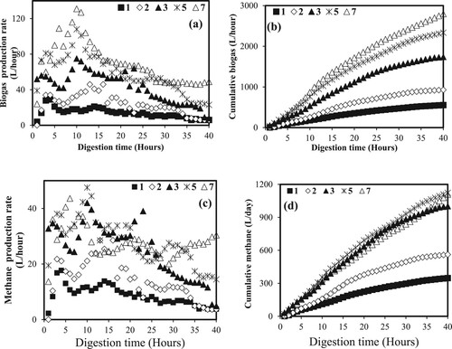 Figure 3. (a) Biogas and (b) methane hourly production rate, and cumulative (c) biogas and (d) methane production during anaerobic digestion of food waste at different organic loading rates (kgVS/m3/day) (Khune Citation2021).