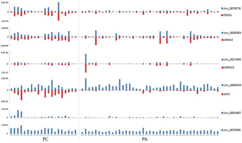 Figure 4. The relative expression levels of circRNAs and mRNAs (2−ΔCt) in each PC and PA tissue. Each column represents one sample, and each row indicates the expression level of an RNA transcript. For the convenience, the ordinate scale differs for each RNA in this diagram. The expression levels of hsa_circ_79278 and hsa_circ_85534 were much lower than those of their linear counterparts FSCN1 and MYC. The expression levels of hsa_circ_0079278 and FSCN1 mRNA, hsa_circ_0035563 and ANXA2 mRNA, and hsa_circ_0017545 and AKR1C3 mRNA were found to be correlated in each parathyroid neoplasm tissue.