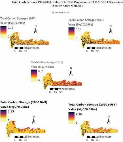 Figure 10. Total carbon stock 1985–2020 relative to 2050 projections (BAU & SUST scenarios)