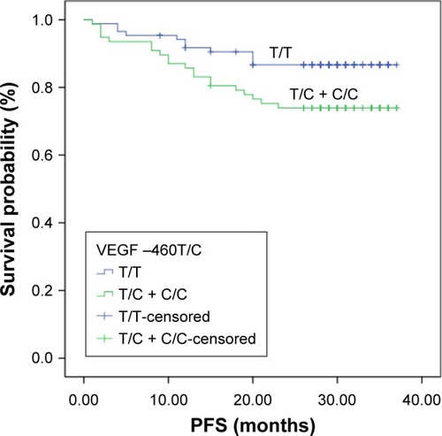 Figure 7 PFS for (T/C + C/C) genotype carriers and T/T genotype carriers.