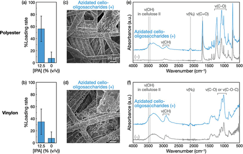 Figure 5. Self-assembly of azidated cello-oligosaccharides at 1% (w/v) in polyester and vinylon nonwovens with IPA. Loading rates of azidated cello-oligosaccharides into (a) polyester and (b) vinylon nonwovens. The loading rate values are presented as the average of nine individual trials, and the error bars represent the standard deviation of those trials. SEM images of (c) polyester and (d) vinylon nonwovens with azidated cello-oligosaccharides. ATR-FTIR absorption spectra of (e) polyester and (f) vinylon nonwovens with and without azidated cello-oligosaccharides.