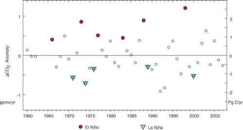 Fig. 2 Annual changes in CO2 concentration (left-hand Y-axis) after removing the trend from emissions. Estimated net carbon equivalent given by the Y-axis on the right. Filled red circles mark years with SON NIÑO3 > 1σ; blue triangles for years with SON NIÑO3 <1σ.