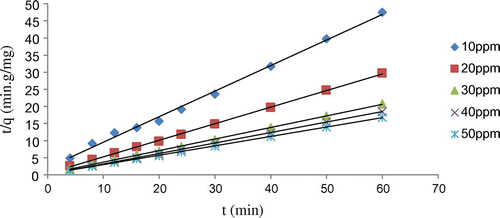 Figure 6. Plots of the pseudo-second-order model for different concentrations of nickel.