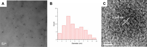 Figure 2 (A) Transmission electron microscope (TEM) images of Lonicerae japonicae Flos carbonisata-derived carbon dots (LJFC-CDs) displaying ultra-small particles. (B) Histogram depicting particle size distribution. (C) High-resolution TEM (HRTEM) image of LJFC-CDs.