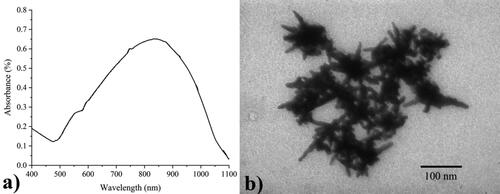 Figure 3. The UV-Vis spectrum (a) and TEM photographs of GNS colloids (b).