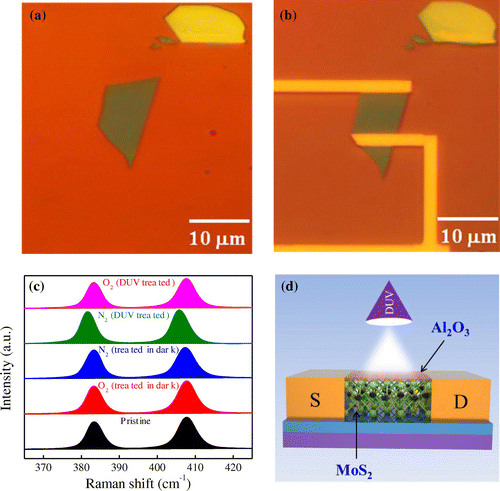 Figure 1. Few-layer MoS2 FET. (a) Optical image of FL-MoS2 flake serving as a conducting channel in the transistor. (b) Optical image of the final device based on the flake shown in (a). The two contacts were used for electrical transport measurements. (c) Raman spectra of the FL-MoS2 pristine (black), O2 treated in the dark (red), N2 treated in the dark (blue), N2 treated under DUV (green), and O2 treated under DUV (pink). (d) Schematic view of the structure of the passivated (10 nm Al2O3 layer) FL-MoS2 FET under DUV illumination. A FL-MoS2 was transferred on a p-doped silicon substrate with a 300-nm-thick SiO2 capping layer. The substrate served as a back gate.