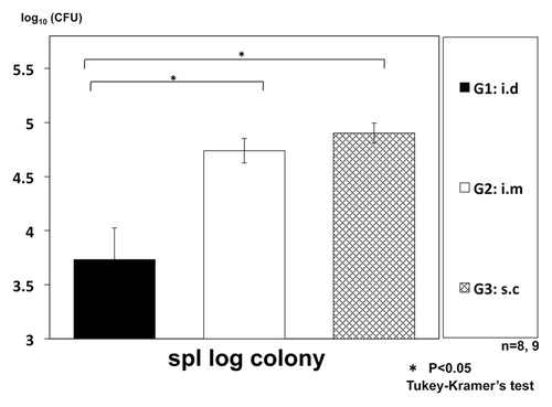 Figure 3. Therapeutic efficacy of intradermal (i.d.) vaccination of HVJ-Envelope/HSP65 DNA+IL-12 DNA, compared with intramuscular (i.m.) or subcutaneous (s.c.) vaccination using intratracheally aerosol infected DBA/1 mice. DBA/1 mice were infected with H37Rv TB by using intratracheal aerosol challenge using aerosol chamber. One week after challenge of TB, 100μg of HVJ-Envelope/HSP65 DNA+IL-12 DNA were administered 6 times for 3 weeks by i.d, i.m, or s.c administration. Four weeks after TB challenge, mice were sacrified, and CFUs of TB in the spleen were evaluated. G1 vs. G2; p < 0.05; G1 vs. G3; p < 0.05; Student’s test