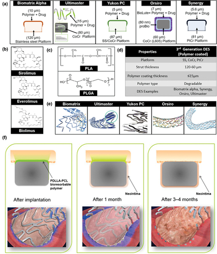 Figure 3. Characteristics of 3rd generation DES: structure (a), drugs (b), materials (c), properties (d), design (e) and polymer degradation after DES implantation (f). Reproduced with permission from Hassan et al. and Chisari et al. [Citation45,Citation63].