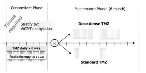 Figure 2 Design of the Radiation Therapy Oncology Group (RTOG) 0525/European Organization for Research and Treatment of Cancer(EORTC) 26052 Intergroup trial.