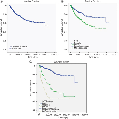 Figure 1. Kaplan Meier curves by overall survival, sex and SEER stage.(A) Overall survival expressed in days.(B) Survival by sex expressed in days.(C) Survival by SEER stage expressed in days.