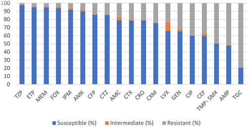 Figure 1 Antimicrobial susceptibility test results for P. mirabilis isolates (n = 598).