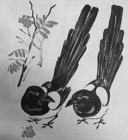 FIGURE 5 Moia pervaia zoologiia: chast' vtoraia: V lesu [My first zoology: part two: In the forest], illustrated by Evgenii Charushin (1901–1965). Moscow: Detgiz, 1942.