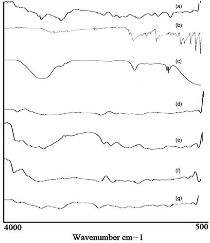 Figure 3. FTIR Spectrum of (a) pure MMWCH, (b) Migylol oil, (c) GA, (d) Span 80, (e) unloaded MMWCH-NPs, (f) pure 5-FU, (g) Loaded MMWCH-NPs.