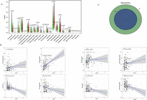 Figure 9. Correlation between TLR2 expression and TICs. (a) Violin plots demonstrated the differences of 22 TICs in TGCT samples with high and low TLR2 expression. Red represents high TLR2 expression and green represents low TLR2 expression. (b) Scatter plots showed that eight TICs were correlated with BTK expression. Significance test was performed using Pearson coefficient. (c) Venn diagrams demonstrate TICs associated with TLR2 expression common to violin diagrams and scatter diagrams