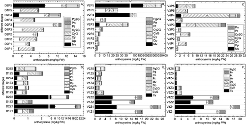 Figure 2. Anthocyanin components and contents at different growth stages.