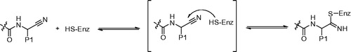 Figure 5. Activity of a nitrile-based Cat K inhibitor is the result of a reversible covalent bond with the active site cysteine of the enzyme.