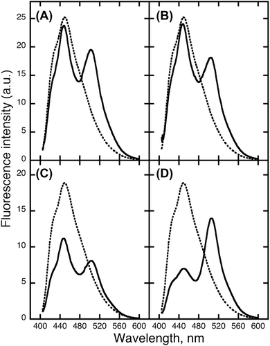 Fig. 3. FRET between PrP-EBFP and NRG-EGFP.