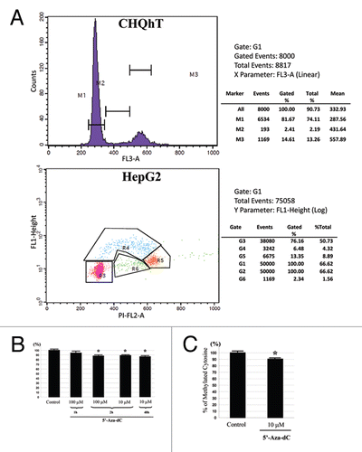 Figure 2 (A) Upper part: Flow cytometric cell cycle analysis of a typical CHQ-HT cell culture used in this study. Note the low (2.2%) proportion of cells in S phase. Lower part: Flow cytometric cell cycle analysis of BrDU incorporation in HepG2 cells at high confluence used in this study. 6.5% of cells are in S phase. (B) Decrease of the methyl-cytosine content in the genomic DNA of the myogenic (CHQ-HT) cells treated with 100 µM of 5′-Aza-dC for 1 and 2 h and 10 µM for 2 h compared with untreated or 48 h treated cells. (*) indicates significant difference (p < 0.05). (C) HepG2 cells treated with 10 µM of 5′-Aza-dC for 2 h.