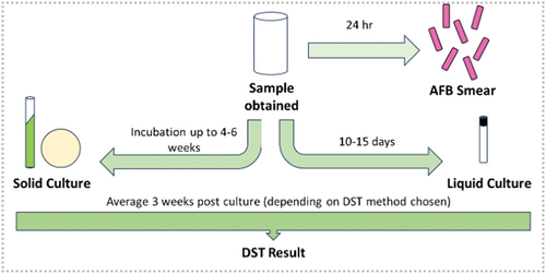 Figure 1. Workflow for the processing of mycobacterial samples. DST = drug susceptibility testing.