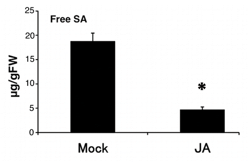 Figure 2. SA content after JA treatment in rice. Free SA content after100 µM JA treatment for 24 h in the fourth leaf blades of rice. Values are means ± SE (n = 3 for Mock, 4 for JA). An asterisk represents a statistically significant difference from the mock-treated control at p < 0.05 (Student’s t-test).