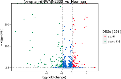 Figure 2 Volcano graph showing the difference in expression between Newman and Newman-ΔNWMN2330. The abscissa represents the fold change of gene expression in different samples; the ordinate represents the statistical significance of the difference in gene expression; the red dots in the figure indicate the up-regulated genes with significant differential expression, and the green dots indicate the down-regulation of significant differential expression gene.