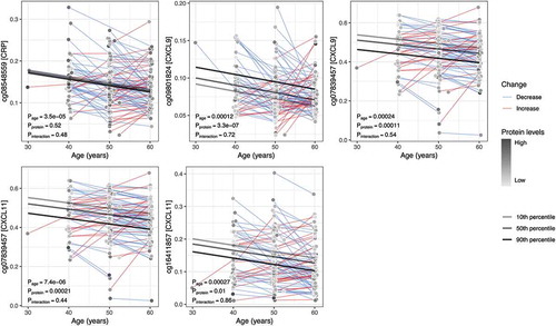 Figure 2. Average within-individual age trajectories for CpG methylation levels. The CpG sites shown demonstrated an association between methylation and levels of an inflammatory protein (in square brackets on the y-axis), as well as a significant change over time (P < 0.0005). Average within-individual age trajectories were estimated in mixed models, including interaction terms between age and the mean protein levels over the two measurements. Marginal effects, depicted as regression lines, were estimated for ages 30 to 60 by the 10th, 50th, and 90th percentiles of the mean inflammatory protein levels.