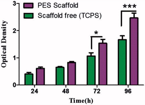 Figure 3. Proliferation of IPSC on TCPS and scaffold during a 24, 48, 76 and 96 h culture period, Results are presented as mean ± SD. Significant levels are *p < .05 and **p < .001.