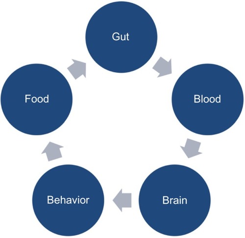 Figure 3 Gut to behavior cycle.