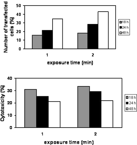 Figure 6. Influence of US exposure time on the transfection efficiency. U87-MG cells were insonated with similar US parameters as in Figure 4. GFP expressing cells and the rate of cell mortality were evaluated by flow cytometry. Upper panel: transfection rate; lower panel: cytotoxicity. Data shown are obtained relatively to the number of non-treated cells taken as 100%.