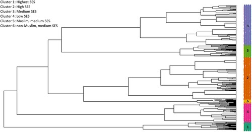 Figure 2: Dendrogram with six composite measures of varied social position levels