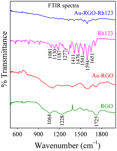 Figure 8. FTIR spectra of Rh123 before and after adsorption on Au-RGO.