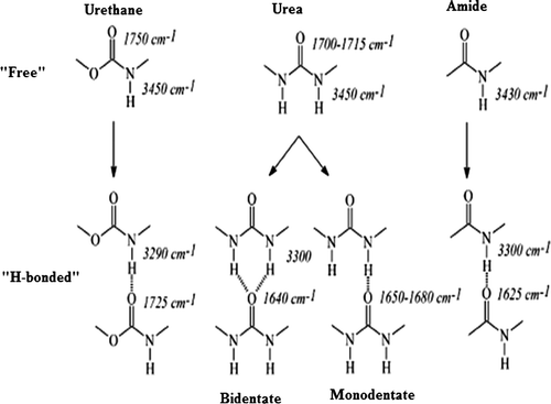 Figure 2. Possible hydrogen bonding interactions of urea, urethane and amide groups.