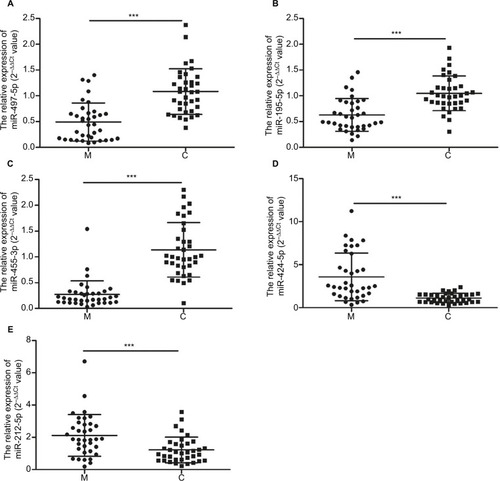 Figure 1 The relative expression levels of miR-497-5p (A), miR-195-5p (B), miR-455-3p (C), miR-424-5p (D) and miR-212-5p (E) in melanoma and pigmented nevi group tissues, respectively.Note: ***p<0.001, compared to control groups.Abbreviations: M, melanoma group; C, control (pigmented nevi group).