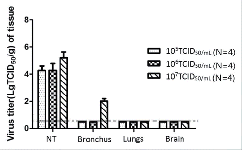 Figure 3. Detection of the MOI in different tissues immunized with SI/06Vca to assess the replication of live attenuated virus by different methods.