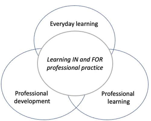 Figure 1. Learning in and for professional practice.