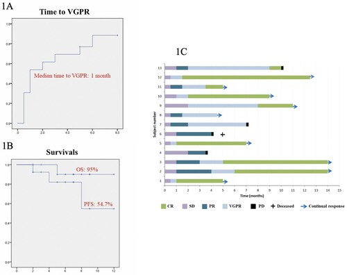 Figure 1. (A) Kaplan-Meier plot of time to VGPR; (B) Progression-free survival (PFS) and overall survival (OS) for RRMM treated with 3-weekly dara-IMiD-dex regimen. (C) Swimmer plot of patients’ outcome. CR: complete response; VGPR: very good partial response; PR: partial response; SD: stable disease; PD: progressive disease.